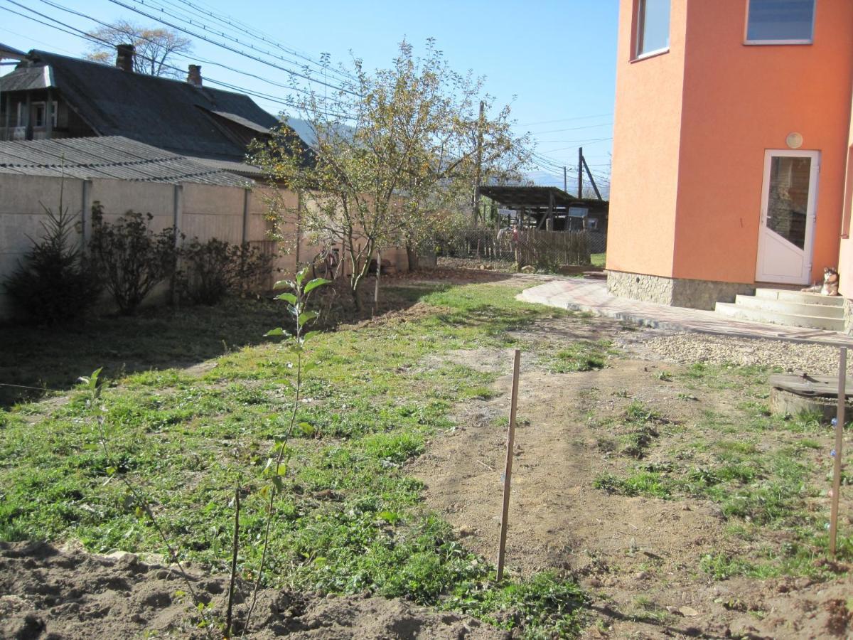 Domashnya Oselya Appartement Verkhovyna Buitenkant foto